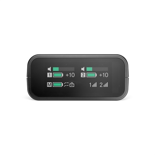 SMALL TWO-CHANNEL RECEIVER FOR PROFILE WIRELESS